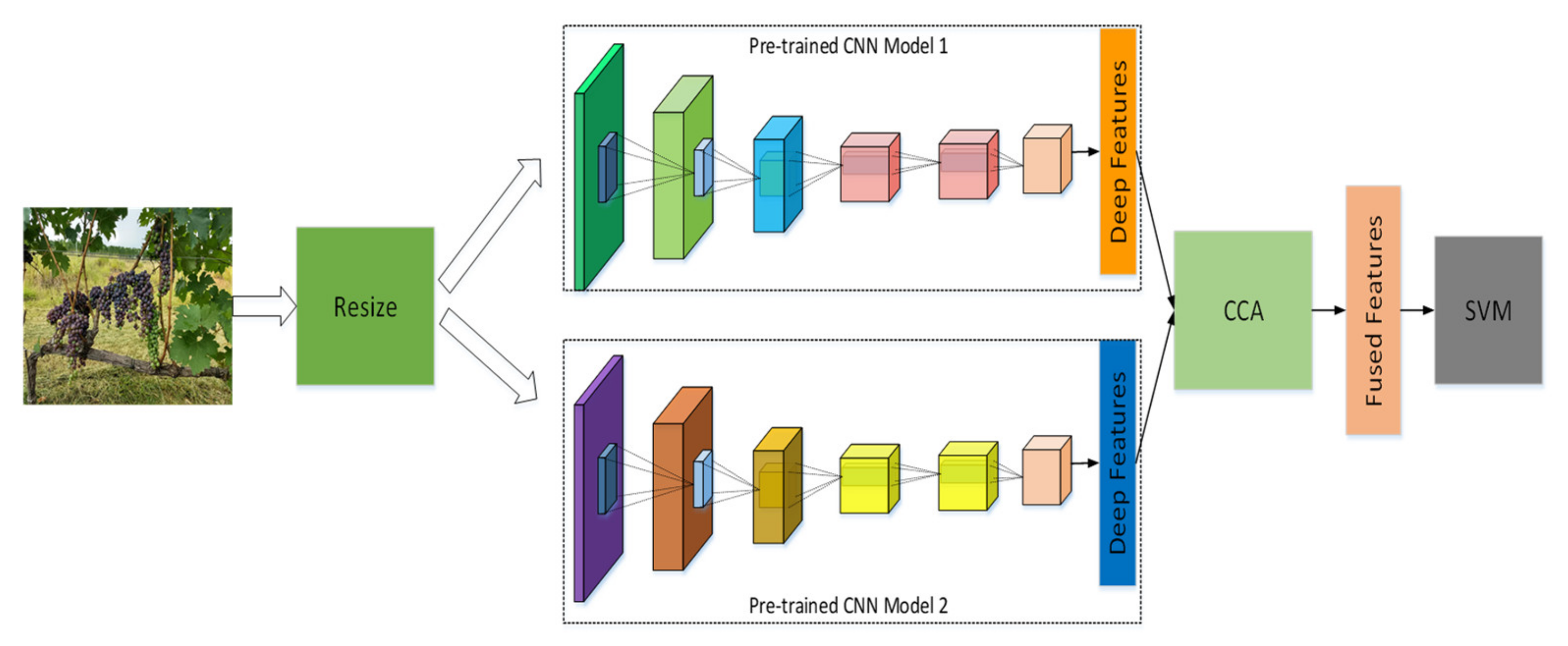 Agriculture 11 00869 g006 550