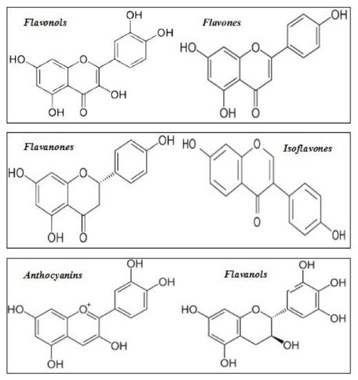 Agriculture Free FullText Phenolic Components and Health