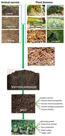 Agriculture Free Full Text Potentiality Of Vermicomposting In The South Pacific Island Countries A Review Html