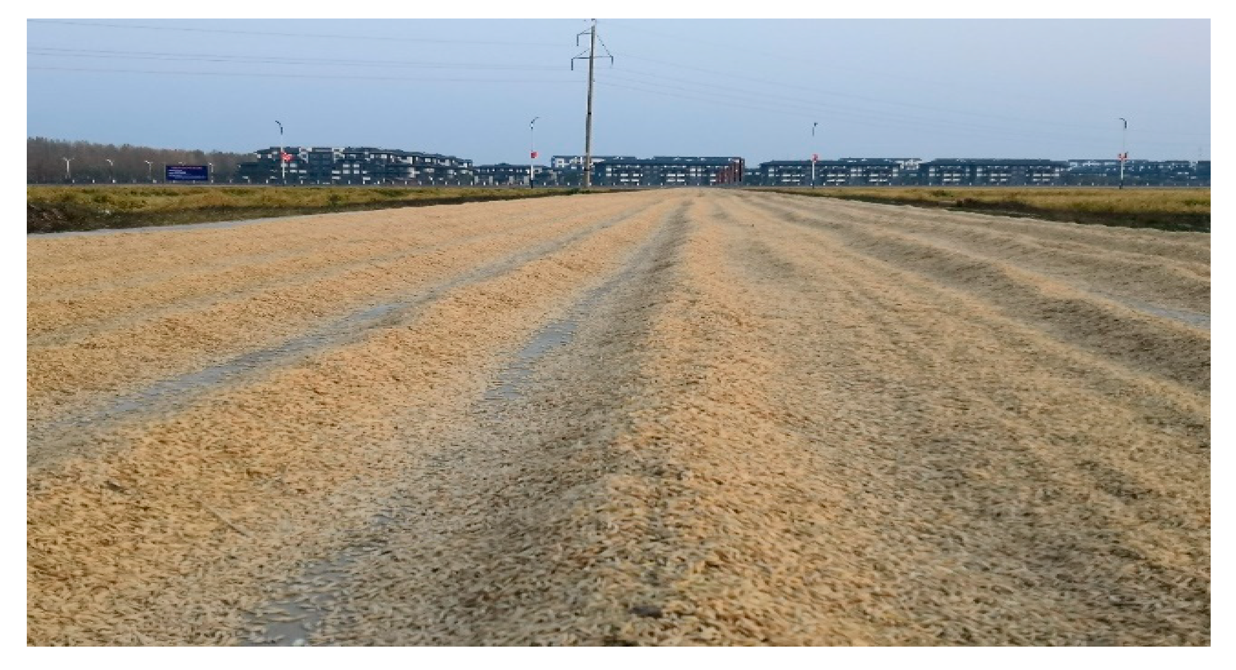 Agriculture 11 00877 g009 Agriculture 11 00877 g009