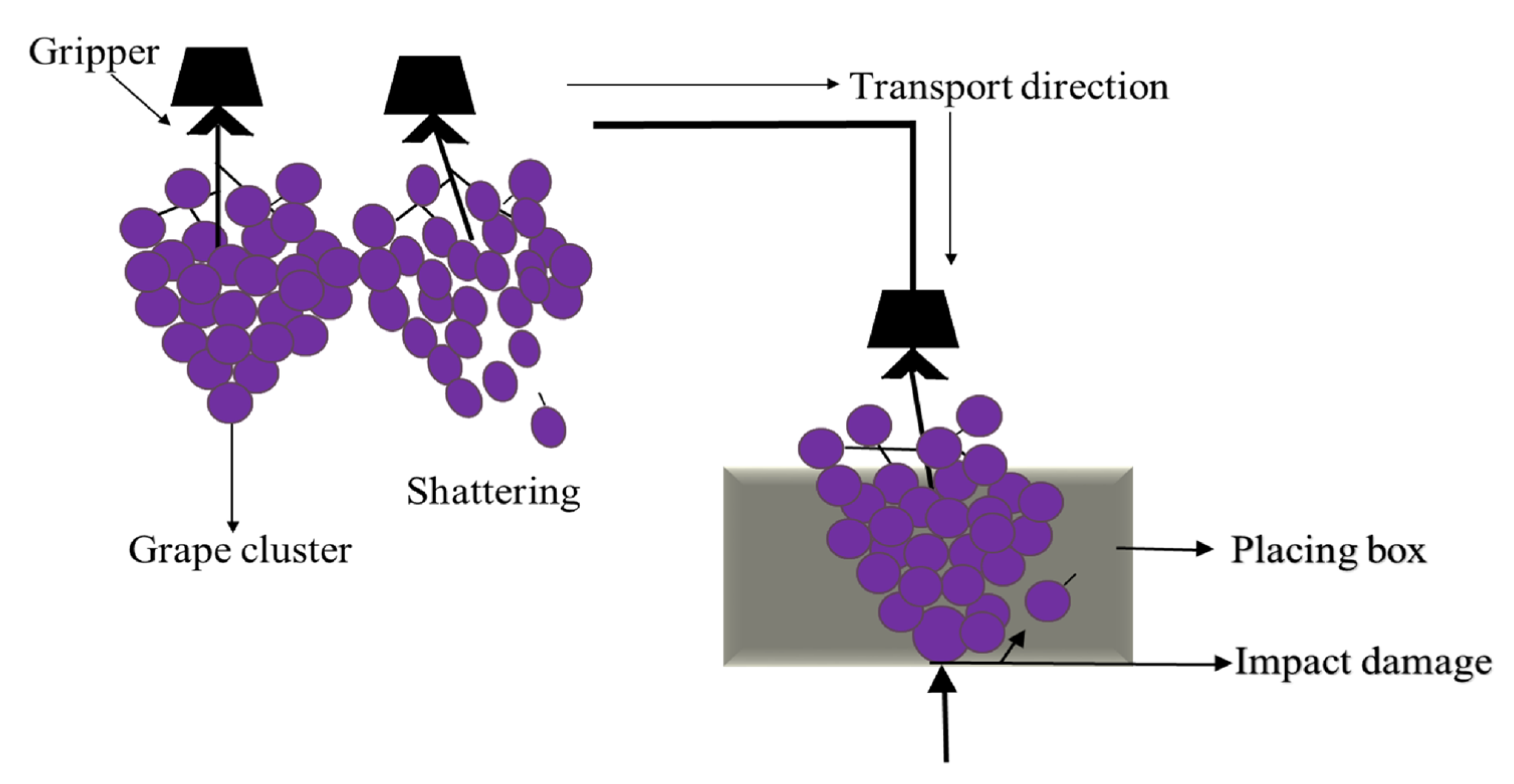 Agriculture 11 00902 g002