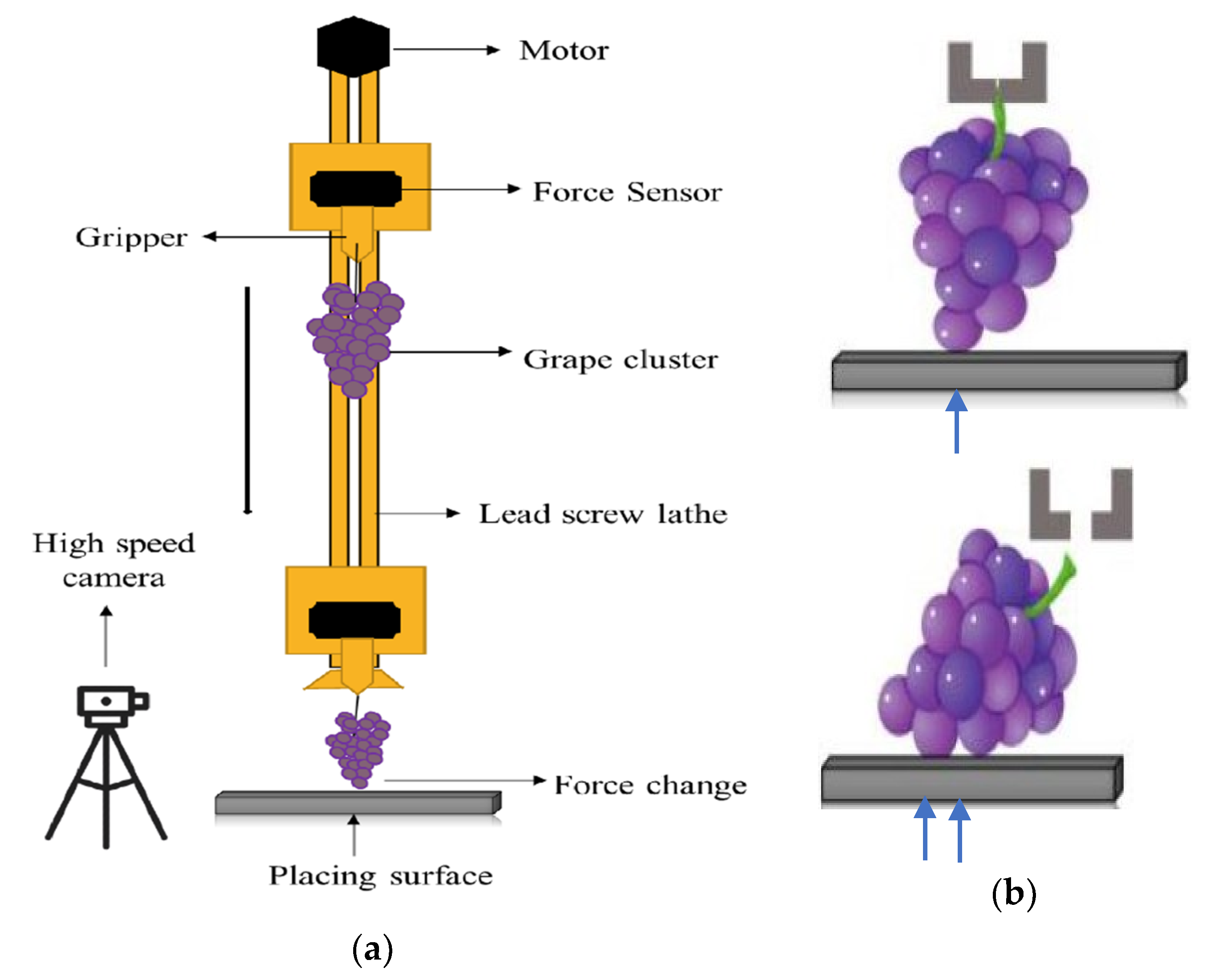 Agriculture 11 00902 g004
