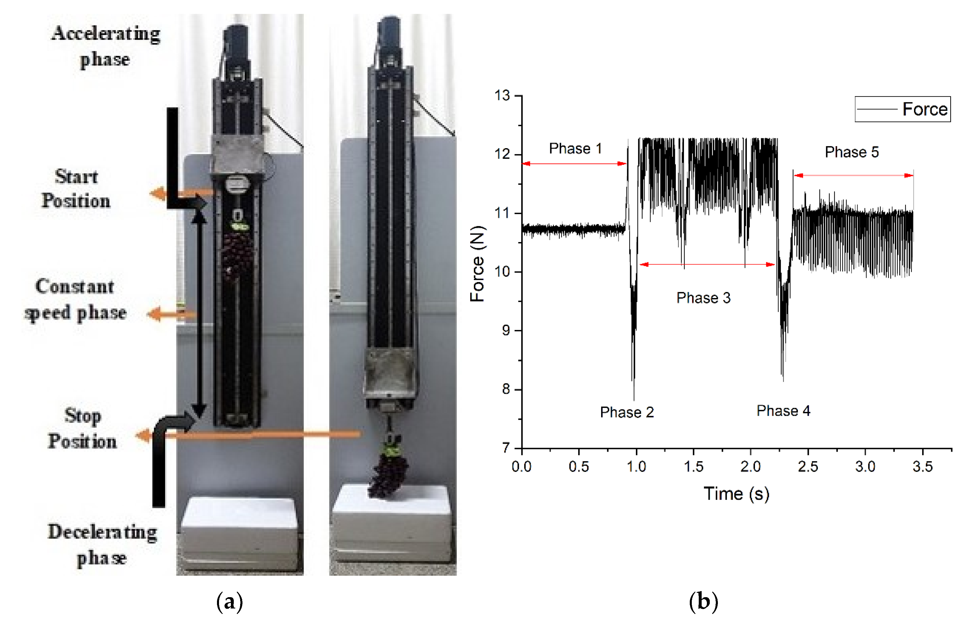 Agriculture 11 00902 g005