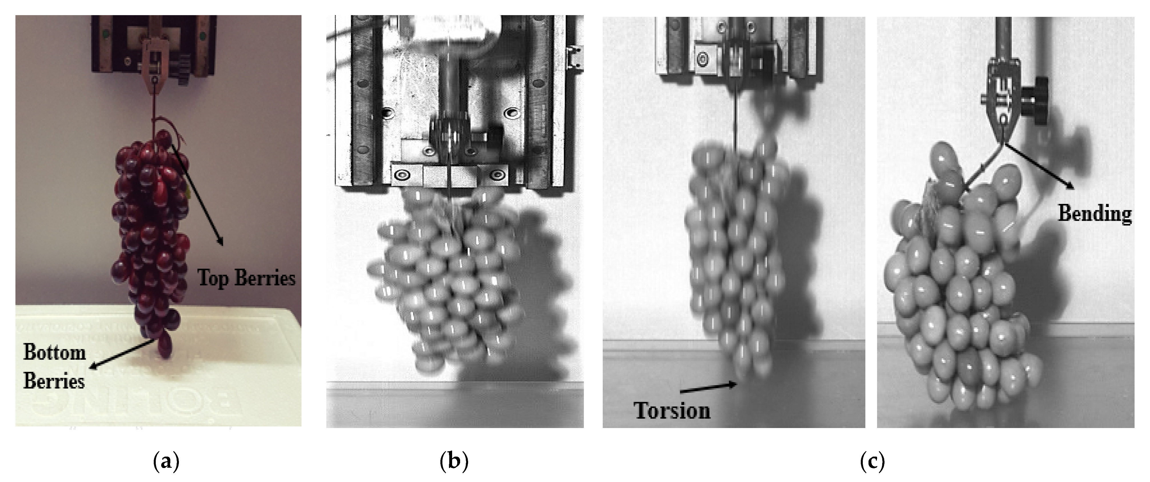 Agriculture 11 00902 g006