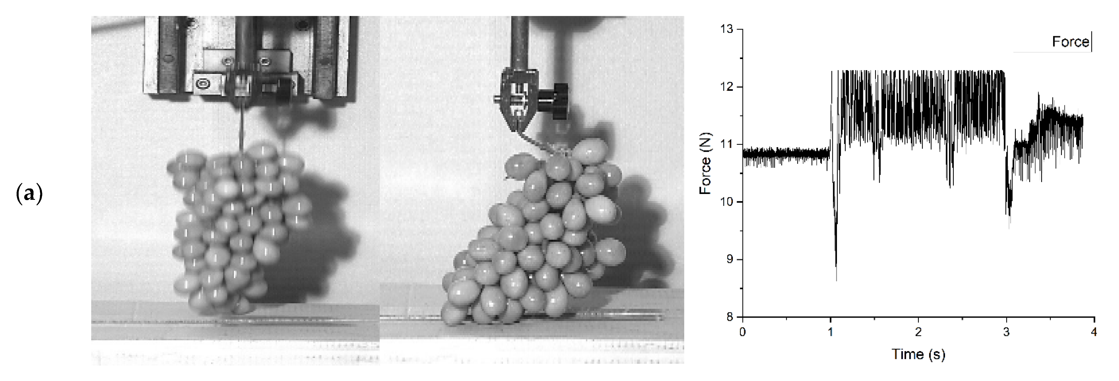Agriculture 11 00902 g009a