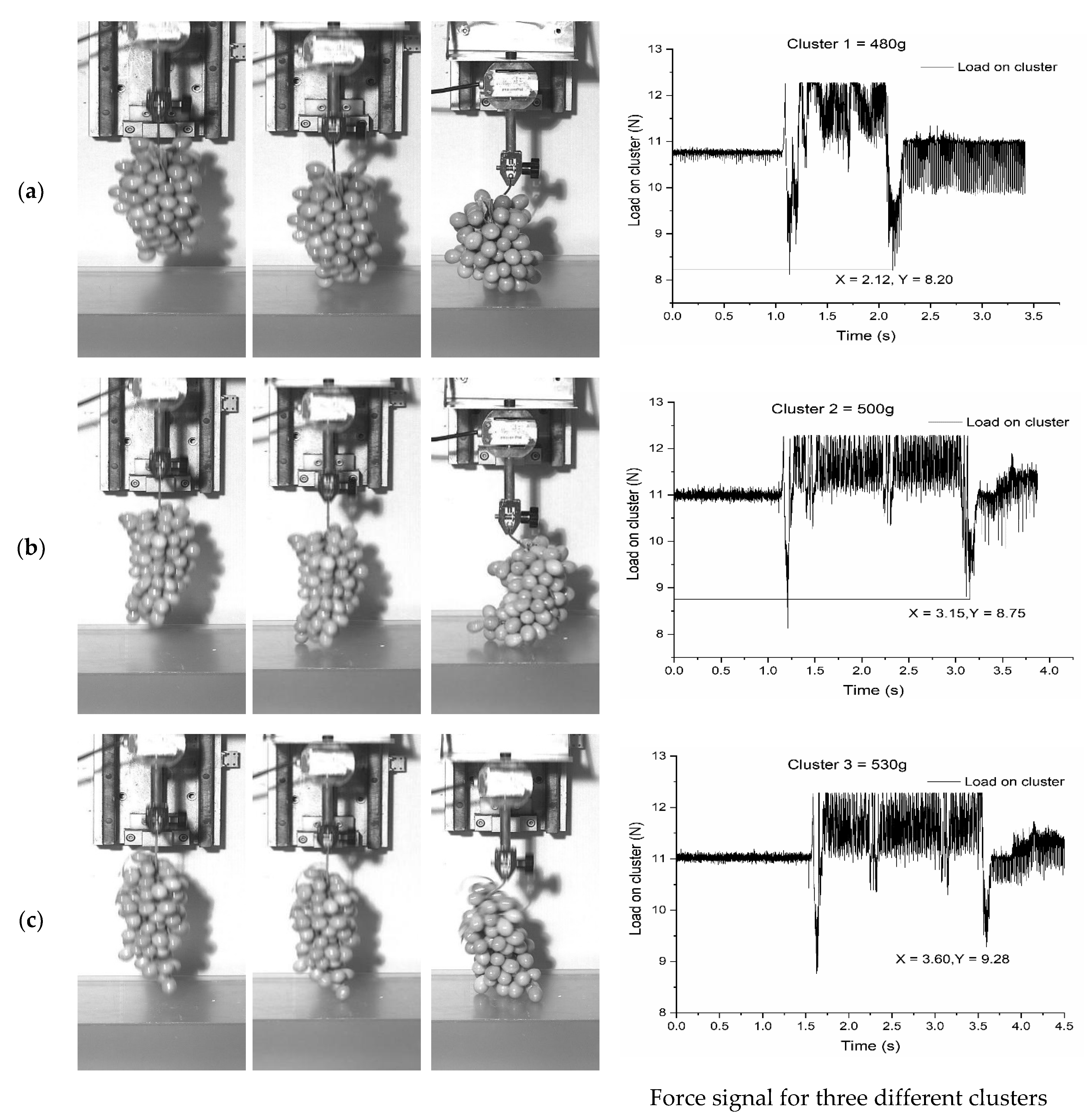 Agriculture 11 00902 g010