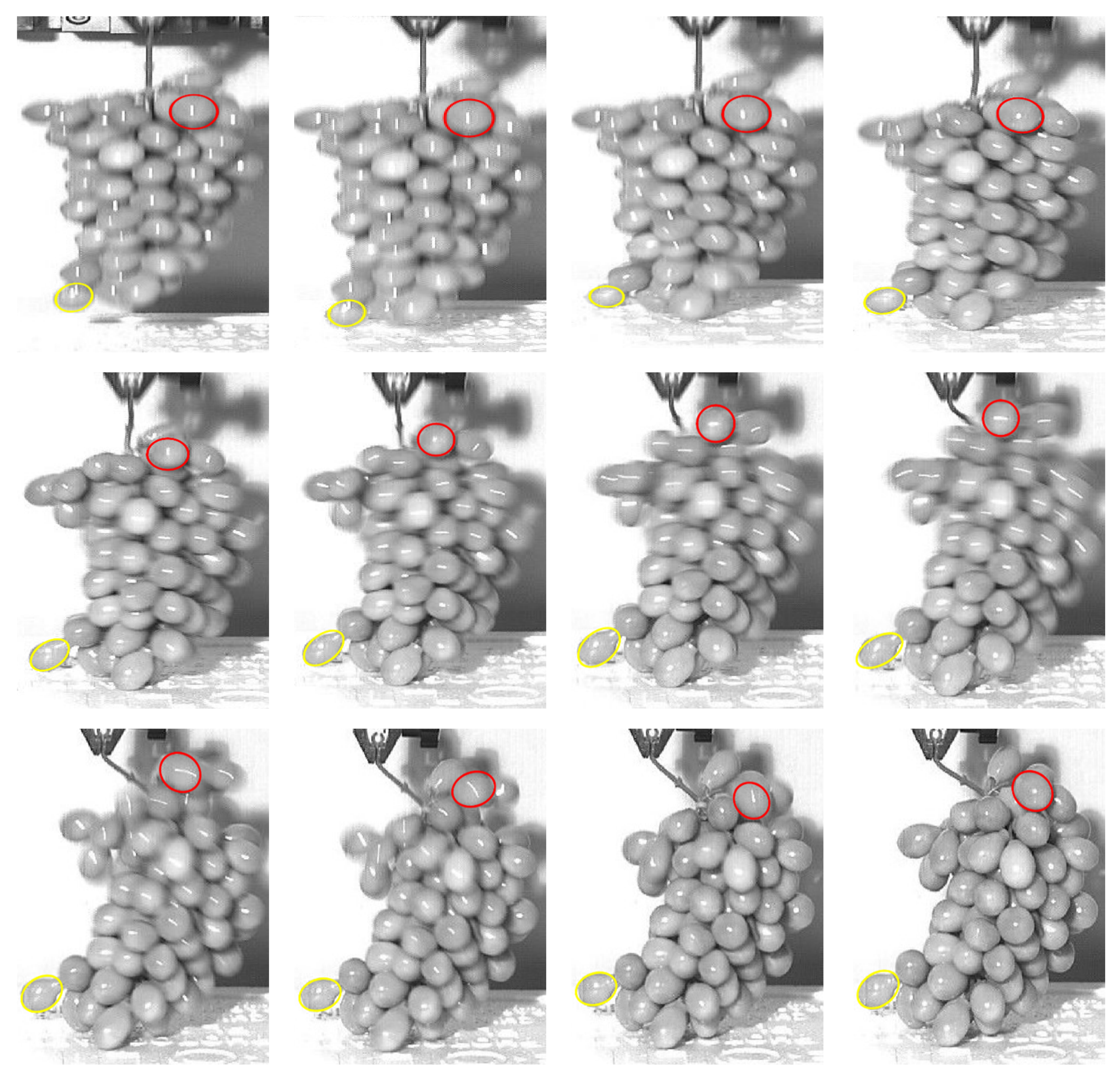 Agriculture 11 00902 g011