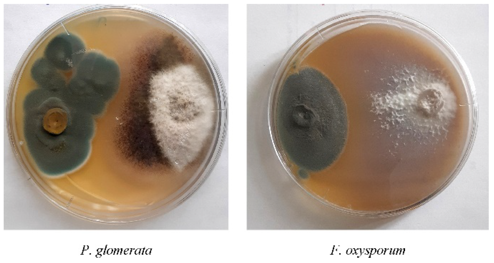 Agriculture 11 00935 g001