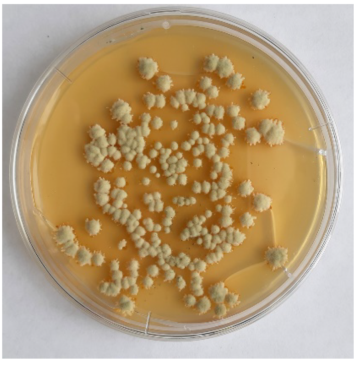 Agriculture 11 00935 g003