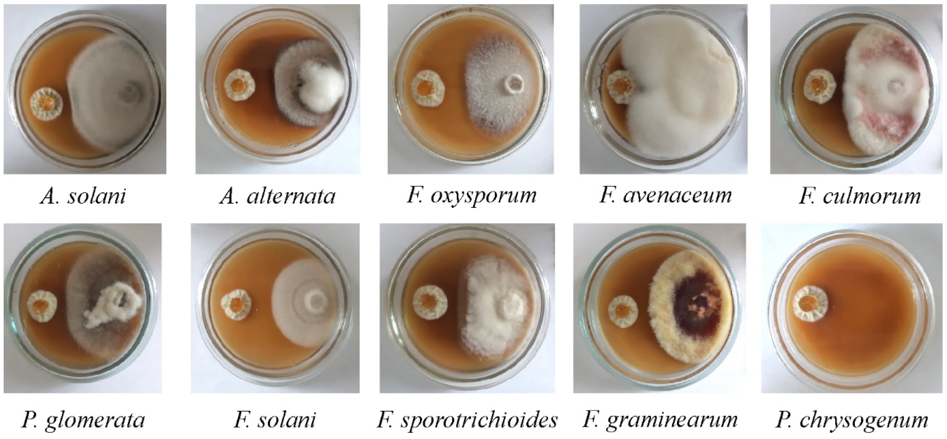 Agriculture 11 00935 g004