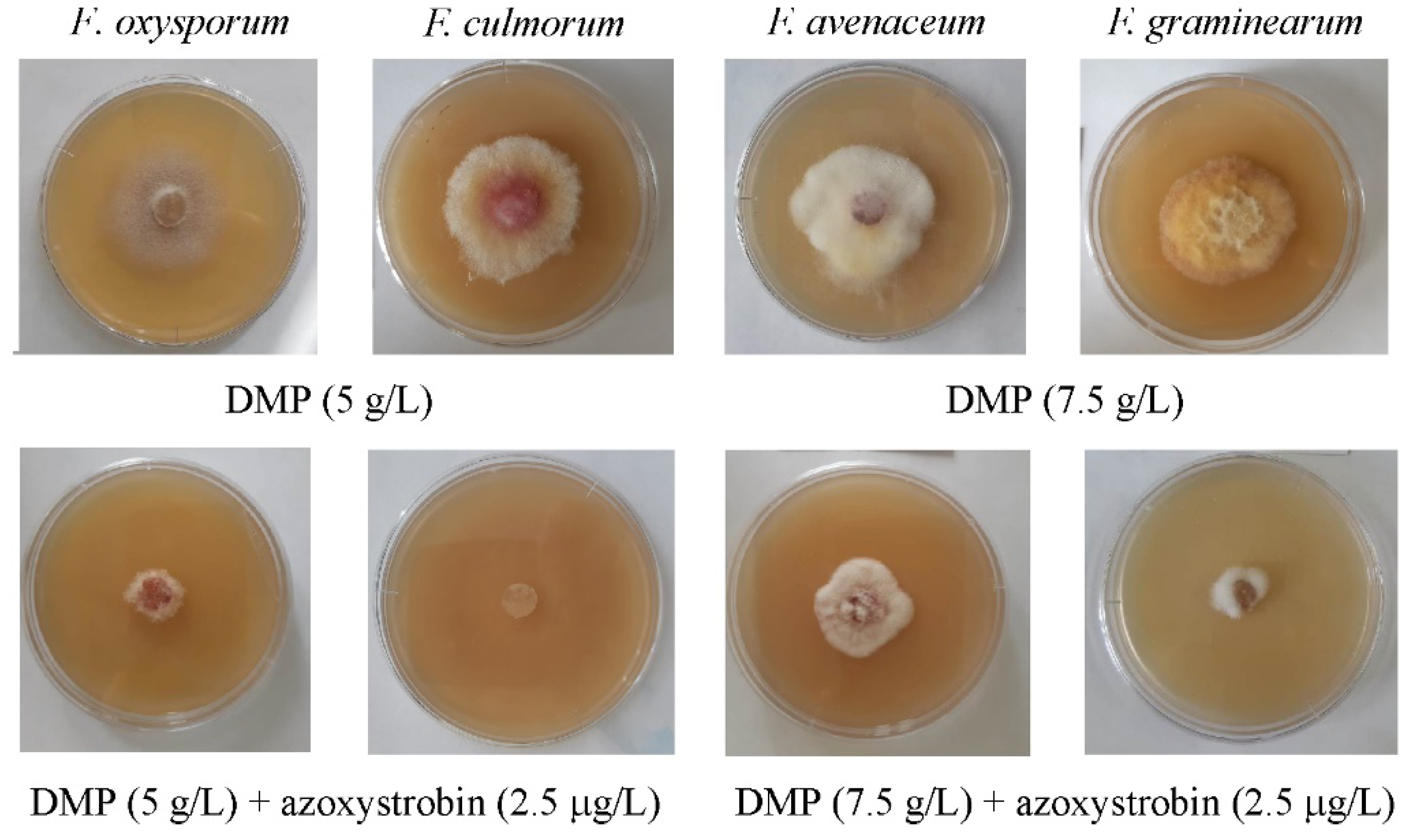 Agriculture 11 00935 g009