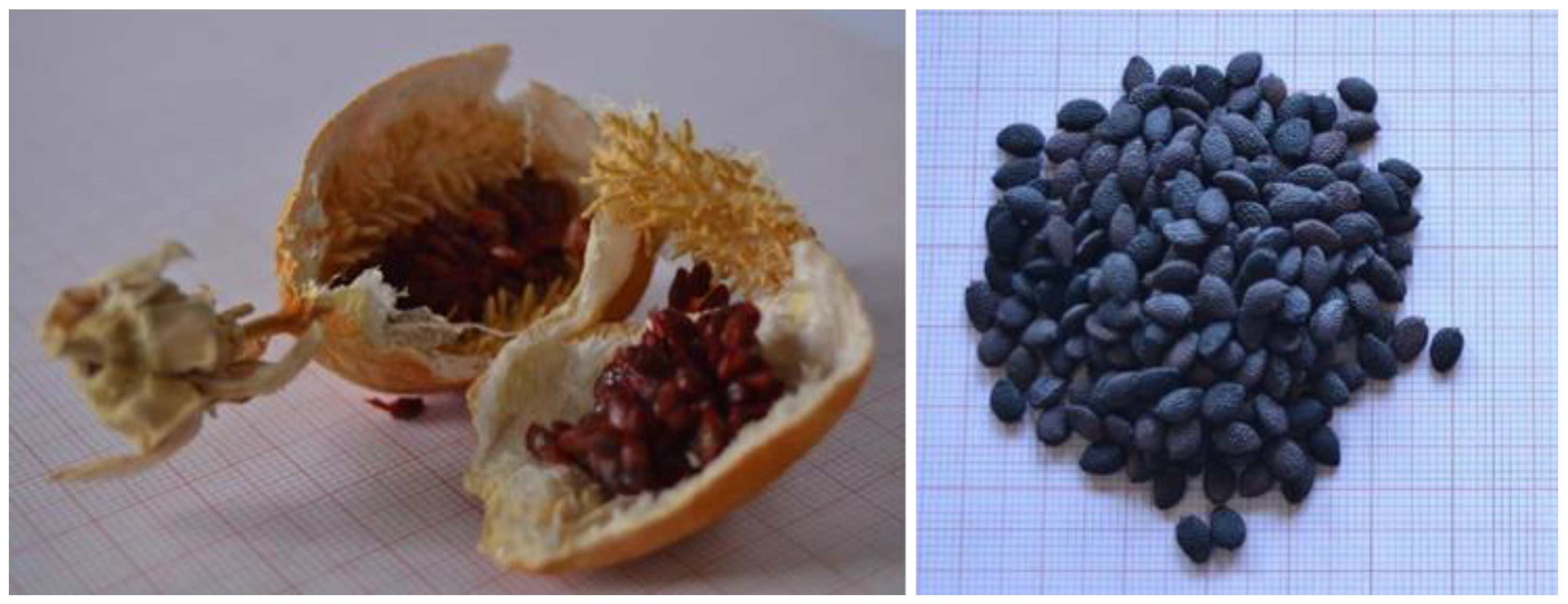 Agriculture 11 00937 g002