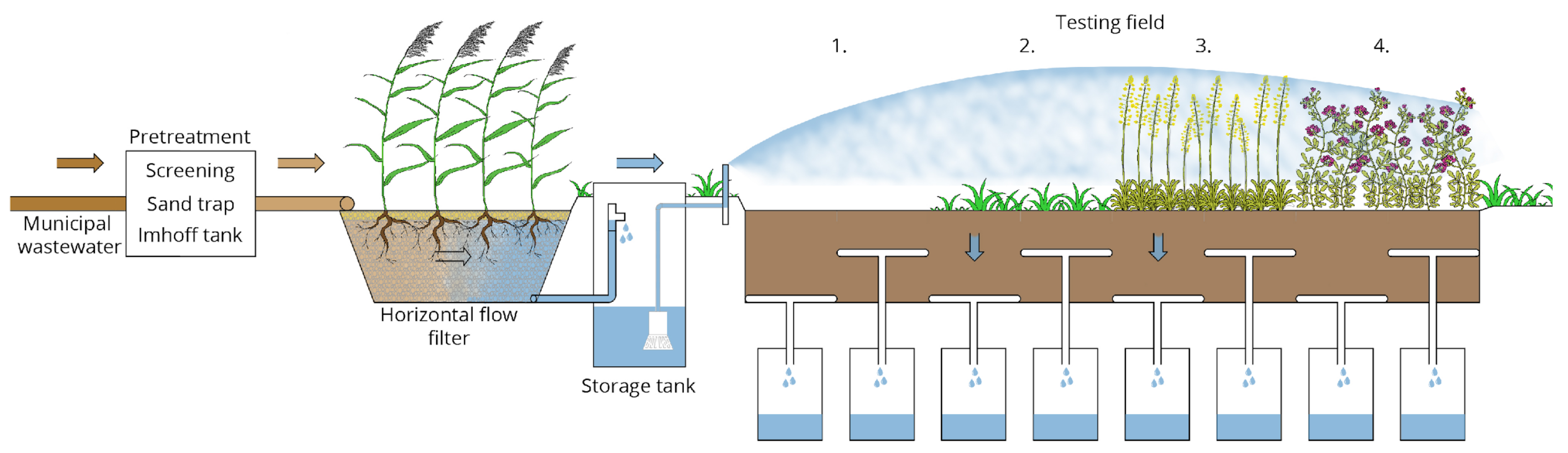 Agriculture 11 00946 g001