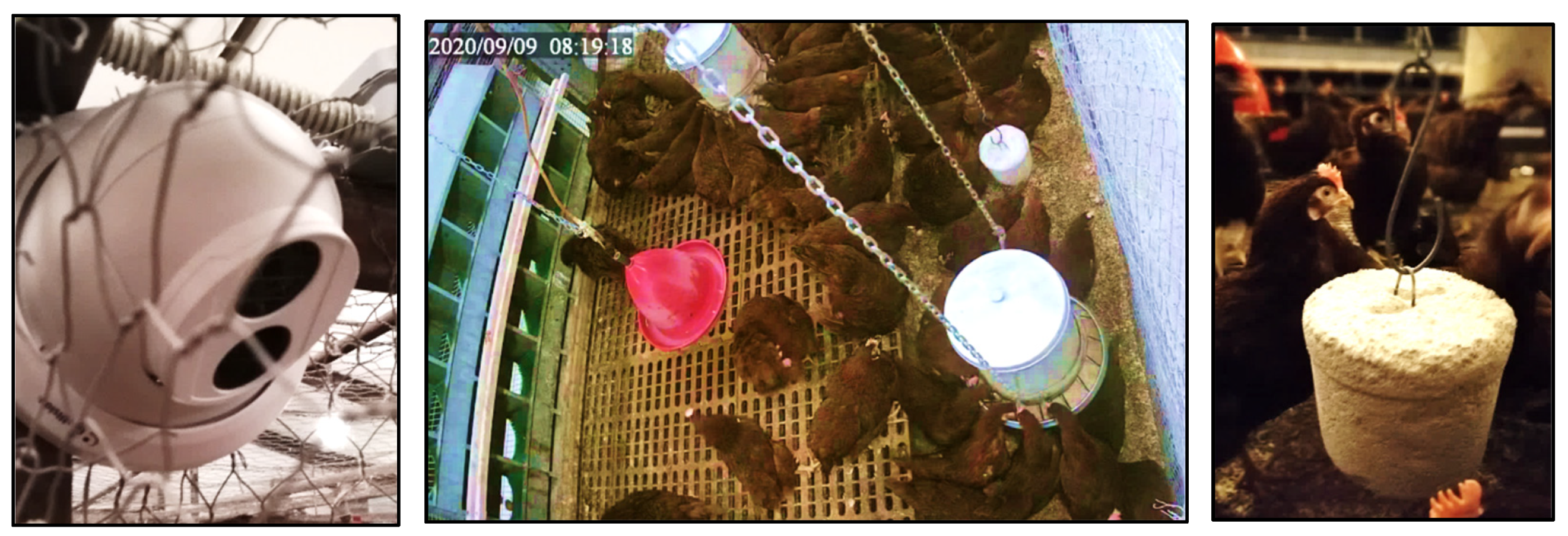 Agriculture 11 00947 g002