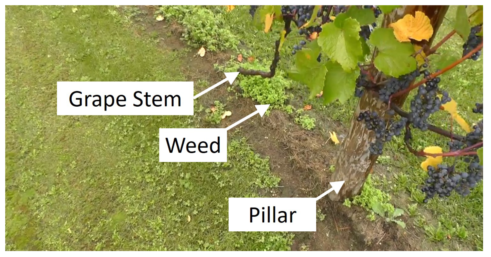 Agriculture 11 00954 g004 550