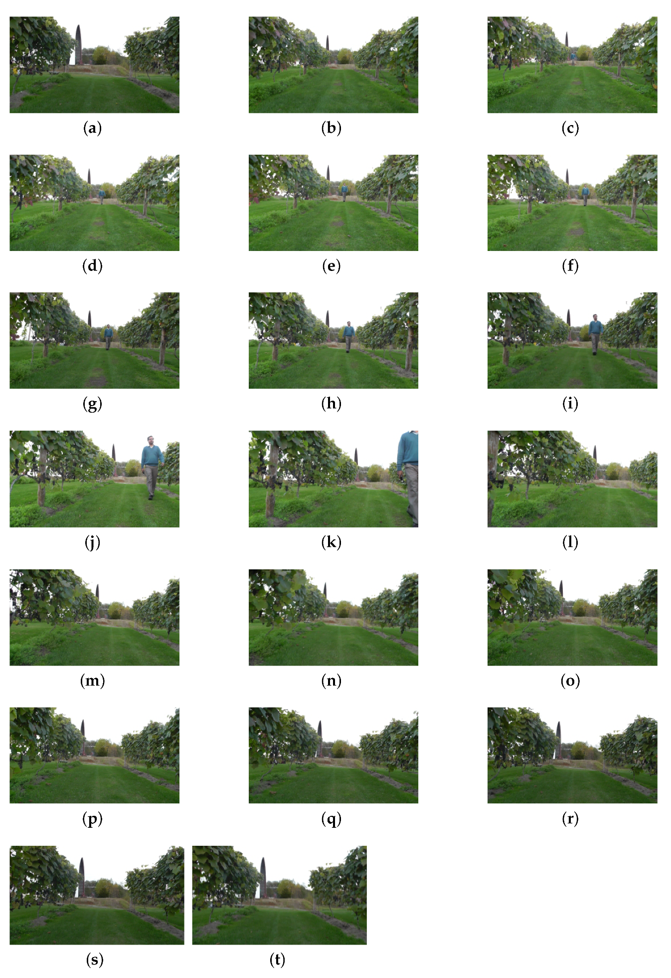 Agriculture 11 00954 g012 550