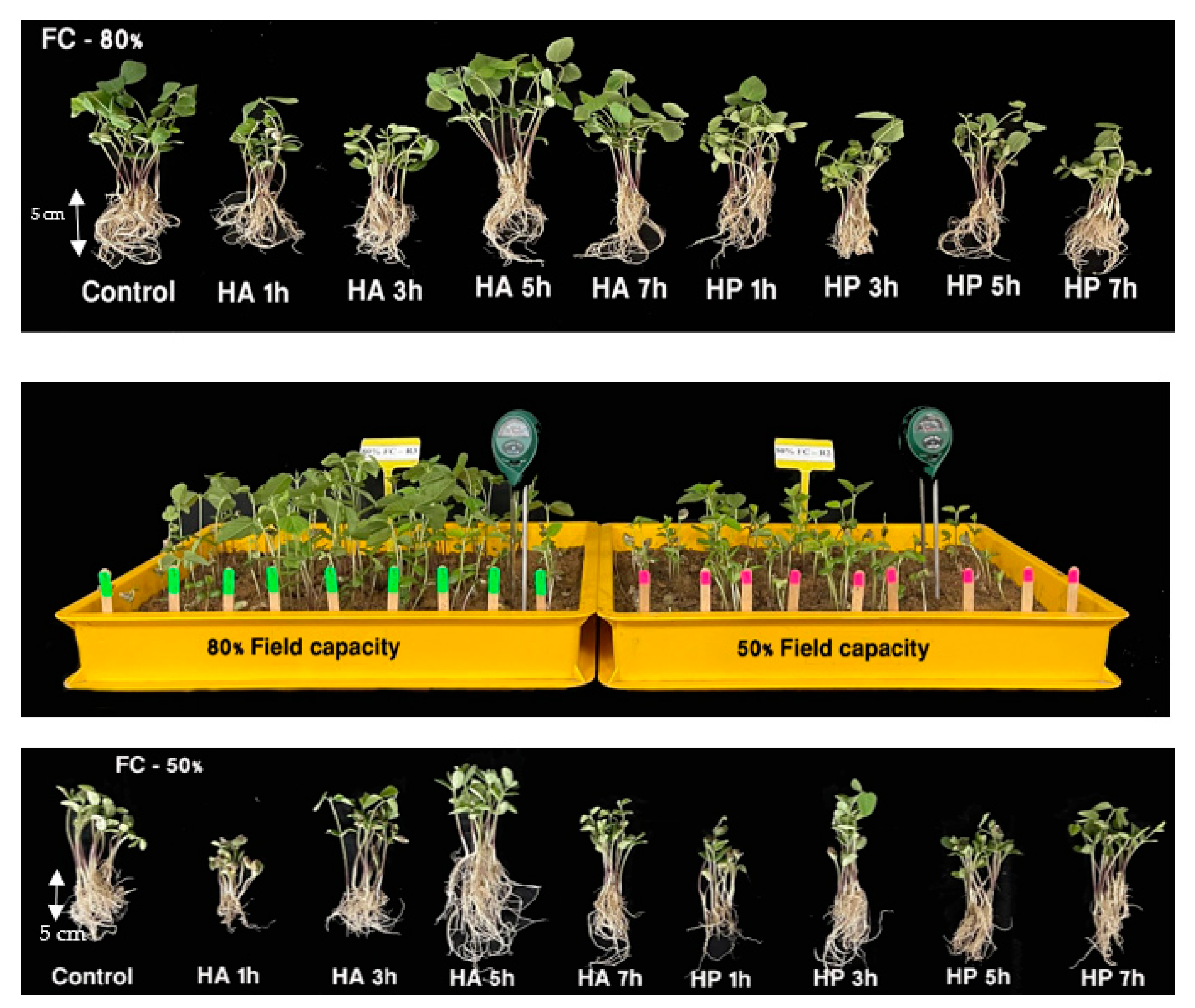 Agriculture 11 00966 g002