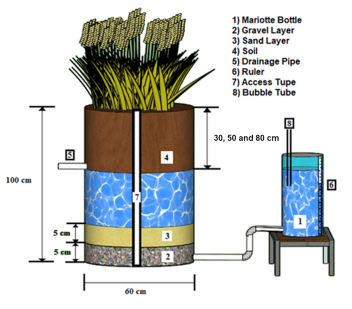 Agriculture 11 00969 g001