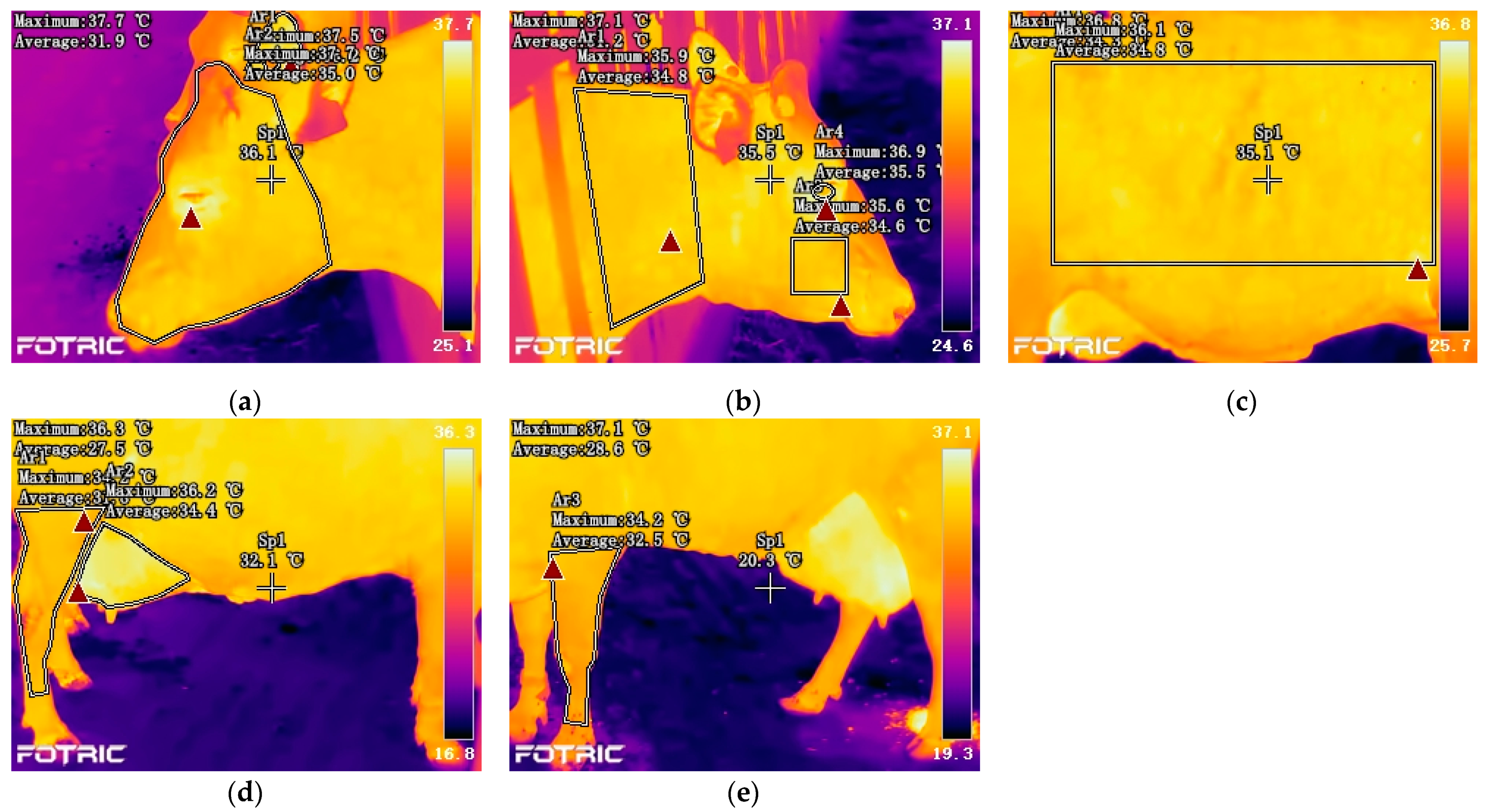 Agriculture 11 00970 g002
