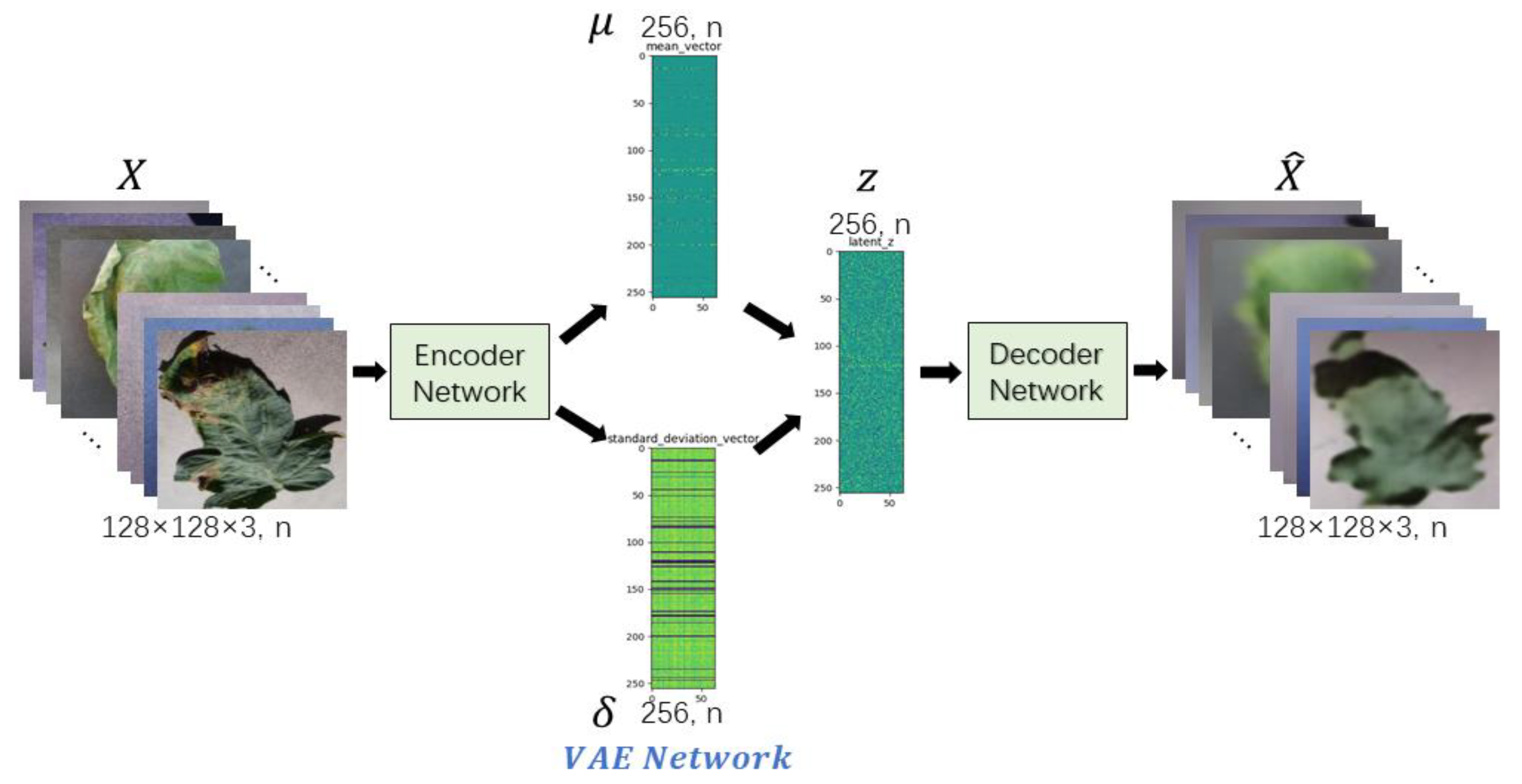 Agriculture 11 00981 g001 550