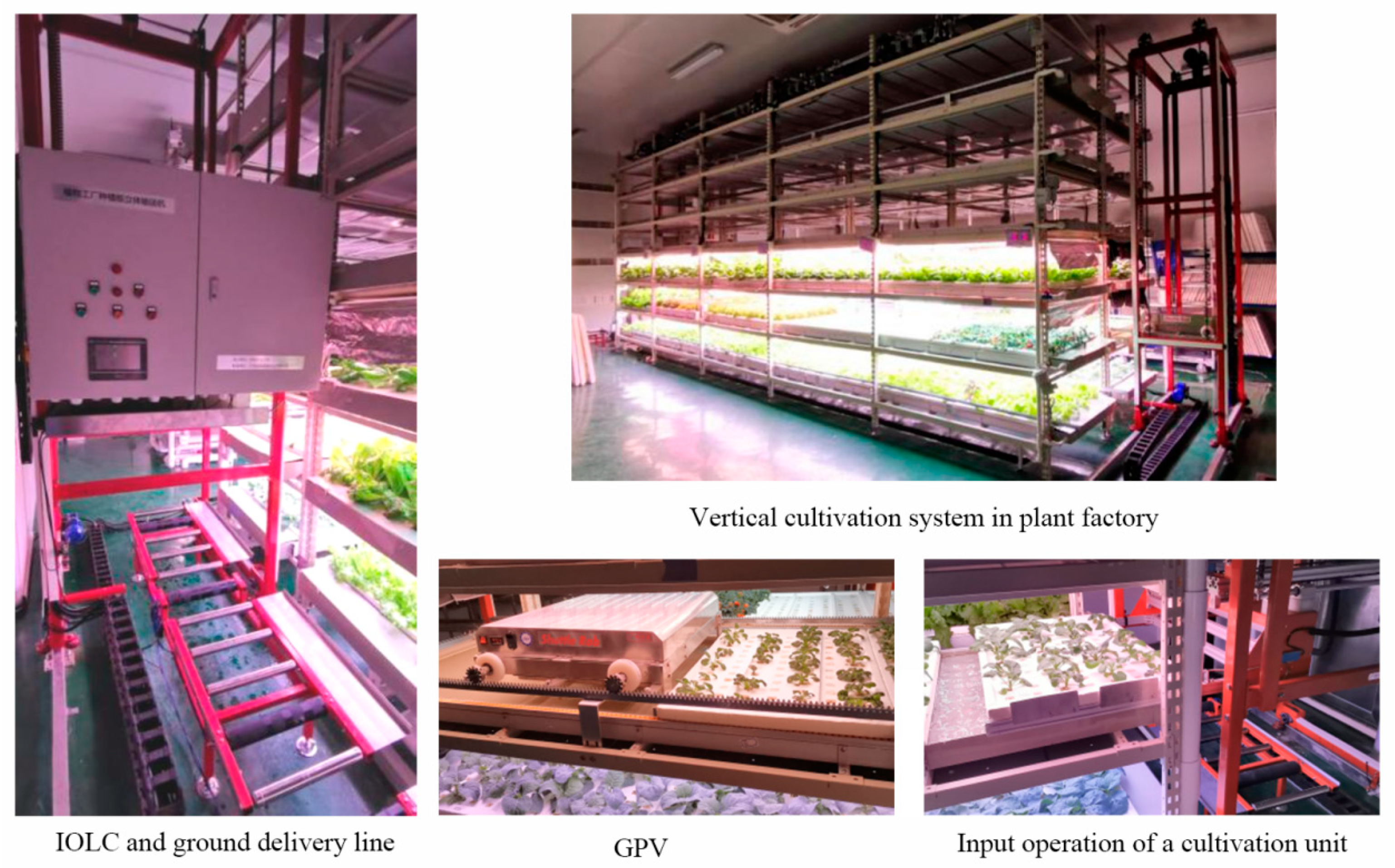 Agriculture 11 00989 g005 Agriculture 11 00989 g005