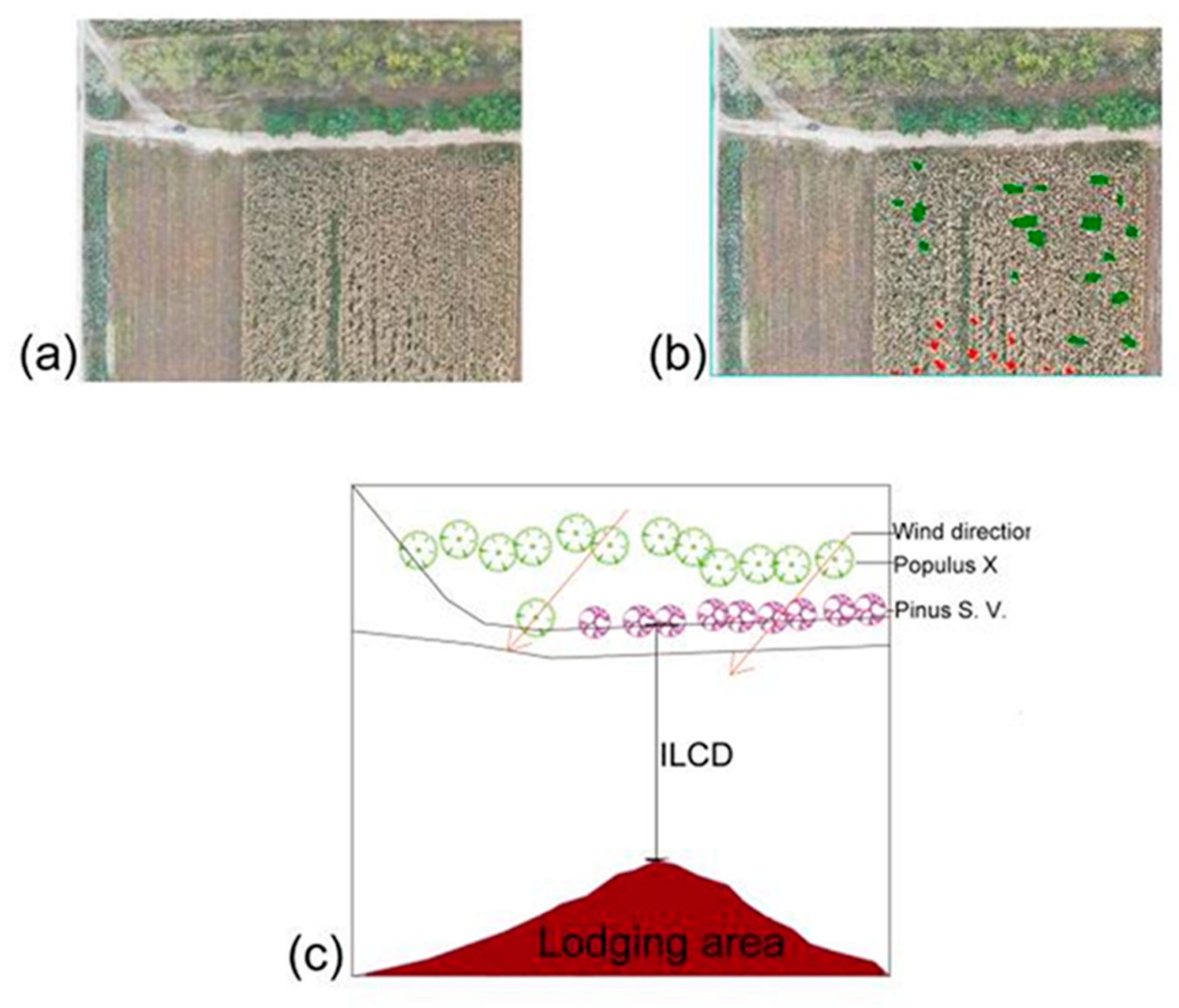 Agriculture 11 00995 g004