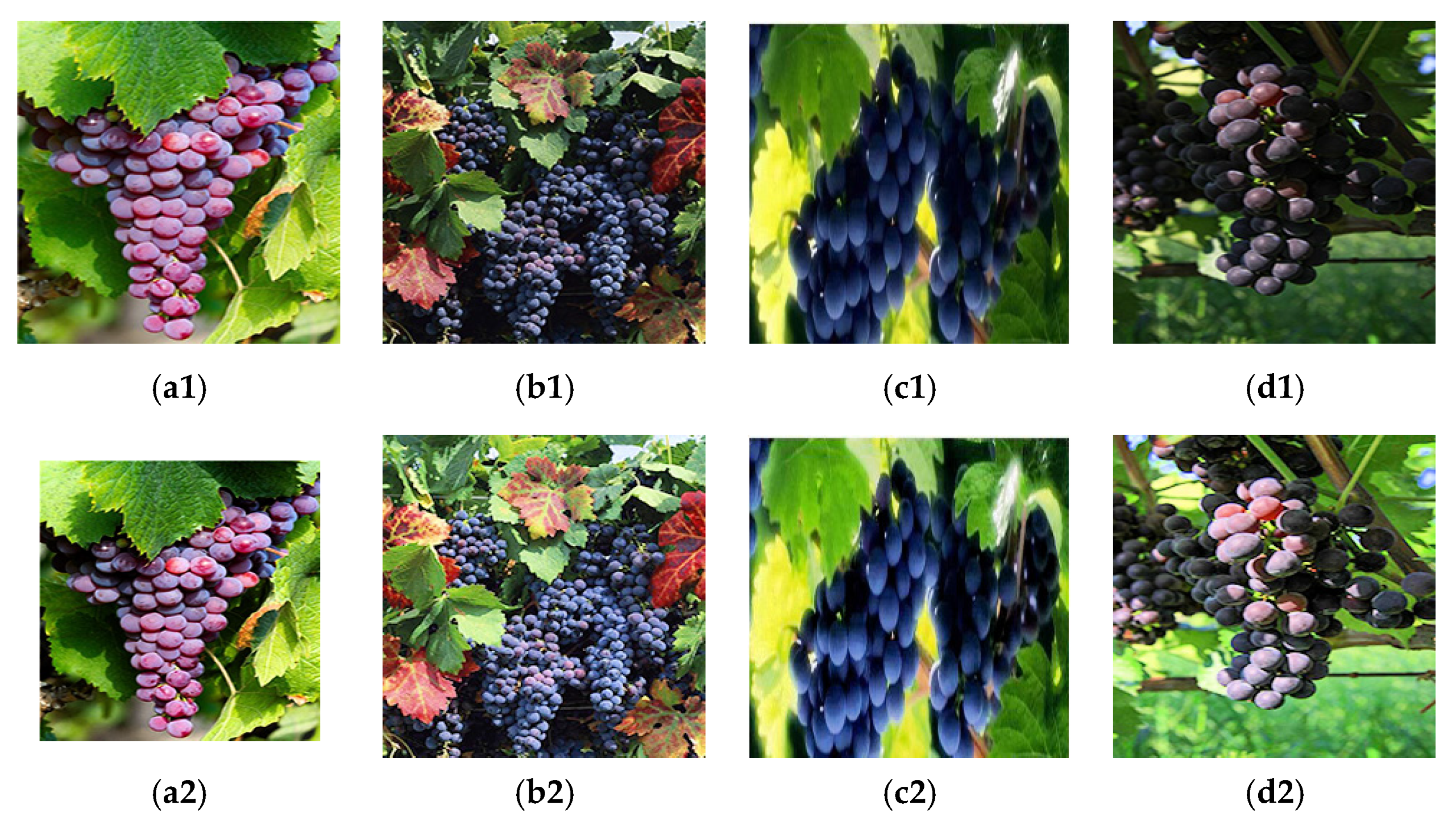 Agriculture 11 00997 g006 550