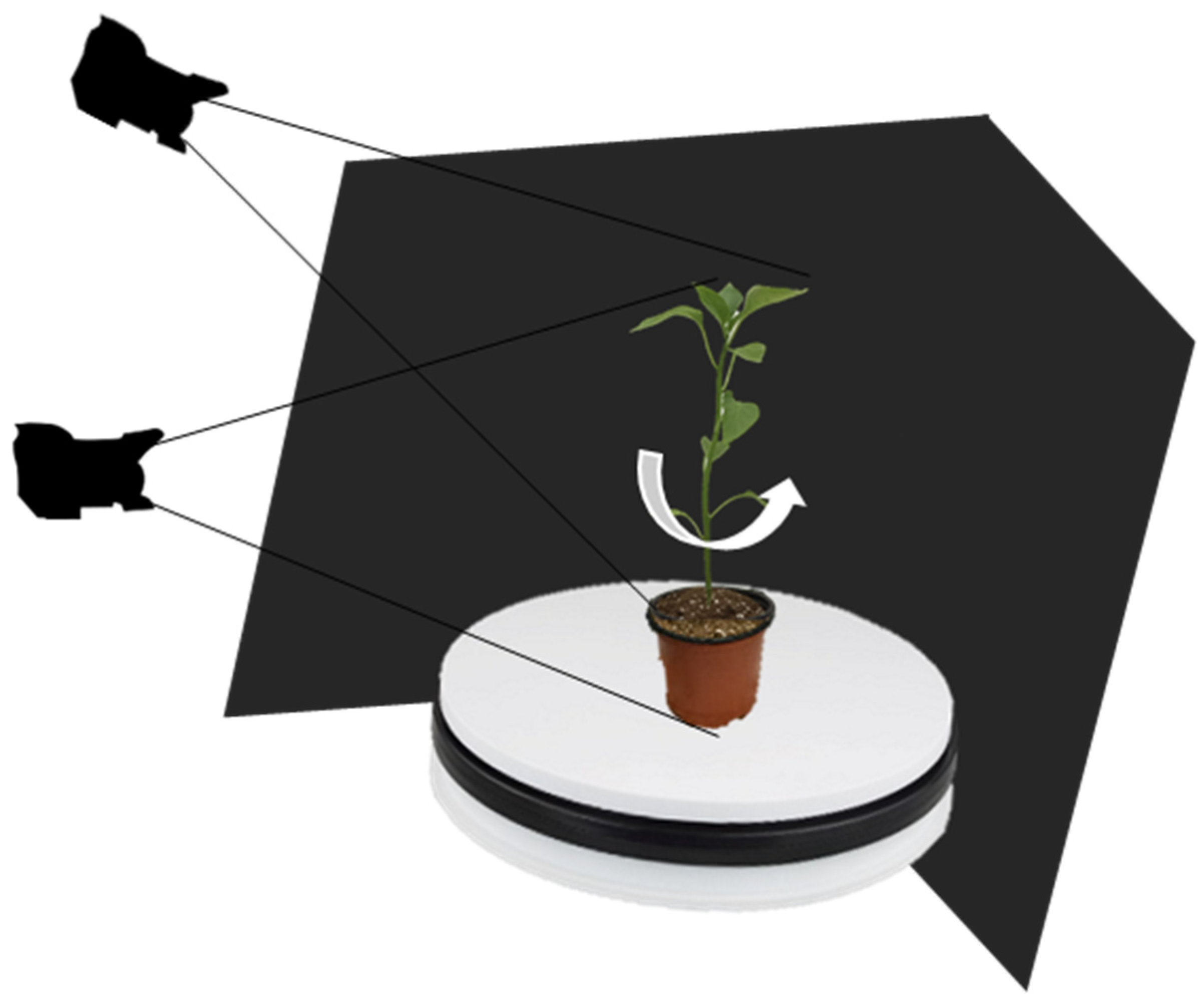 Agriculture 11 01010 g001