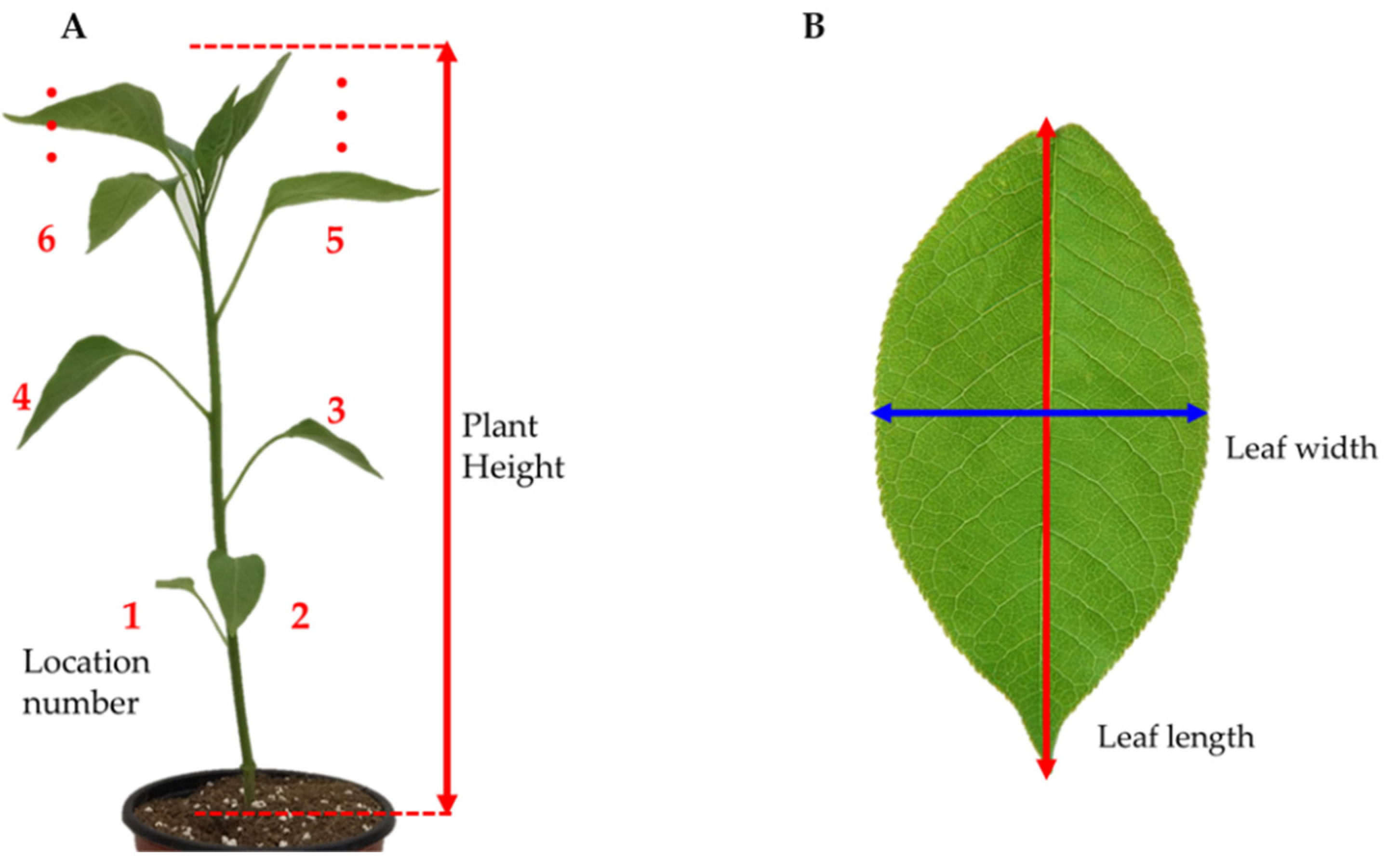 Agriculture 11 01010 g002