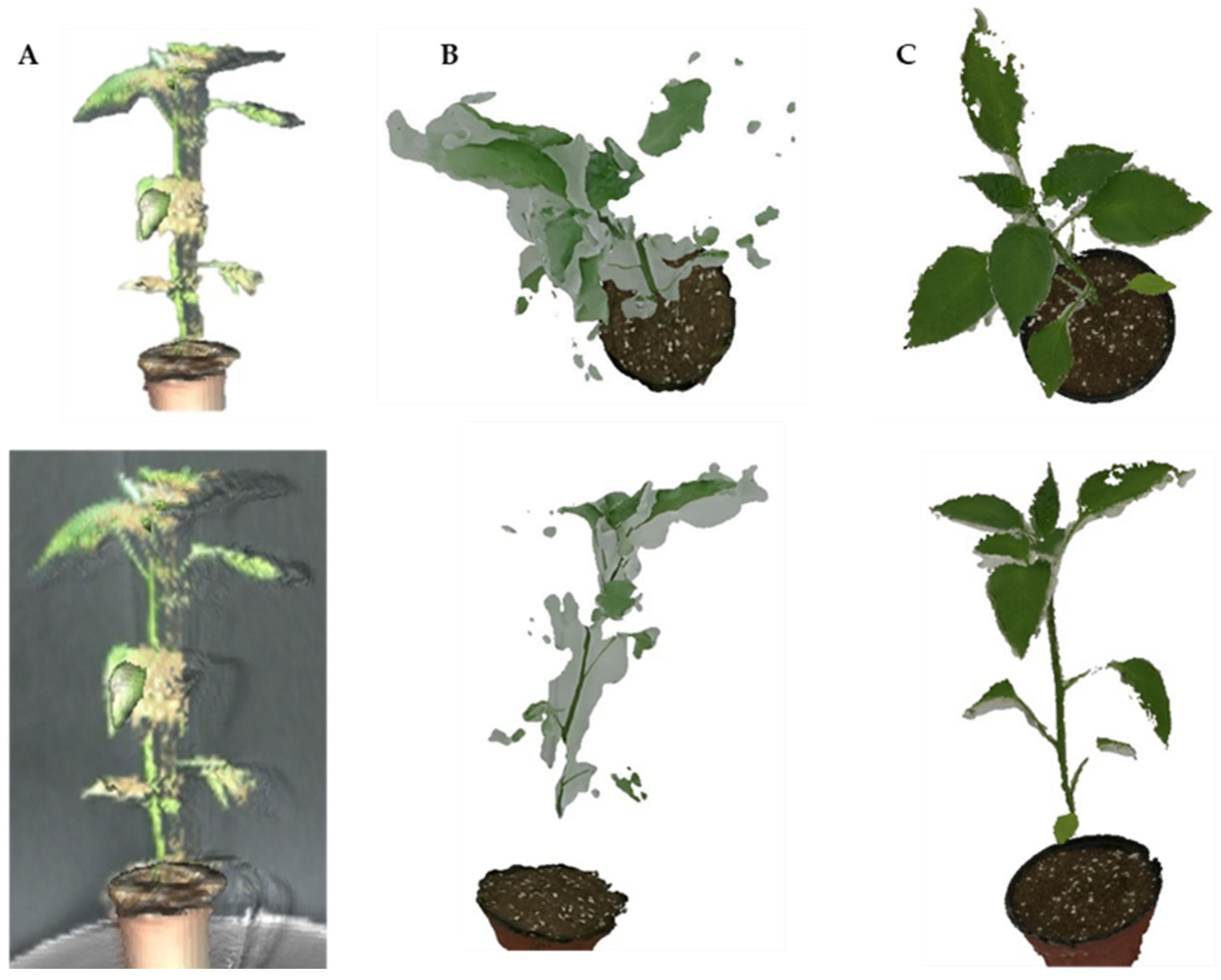 Agriculture 11 01010 g005