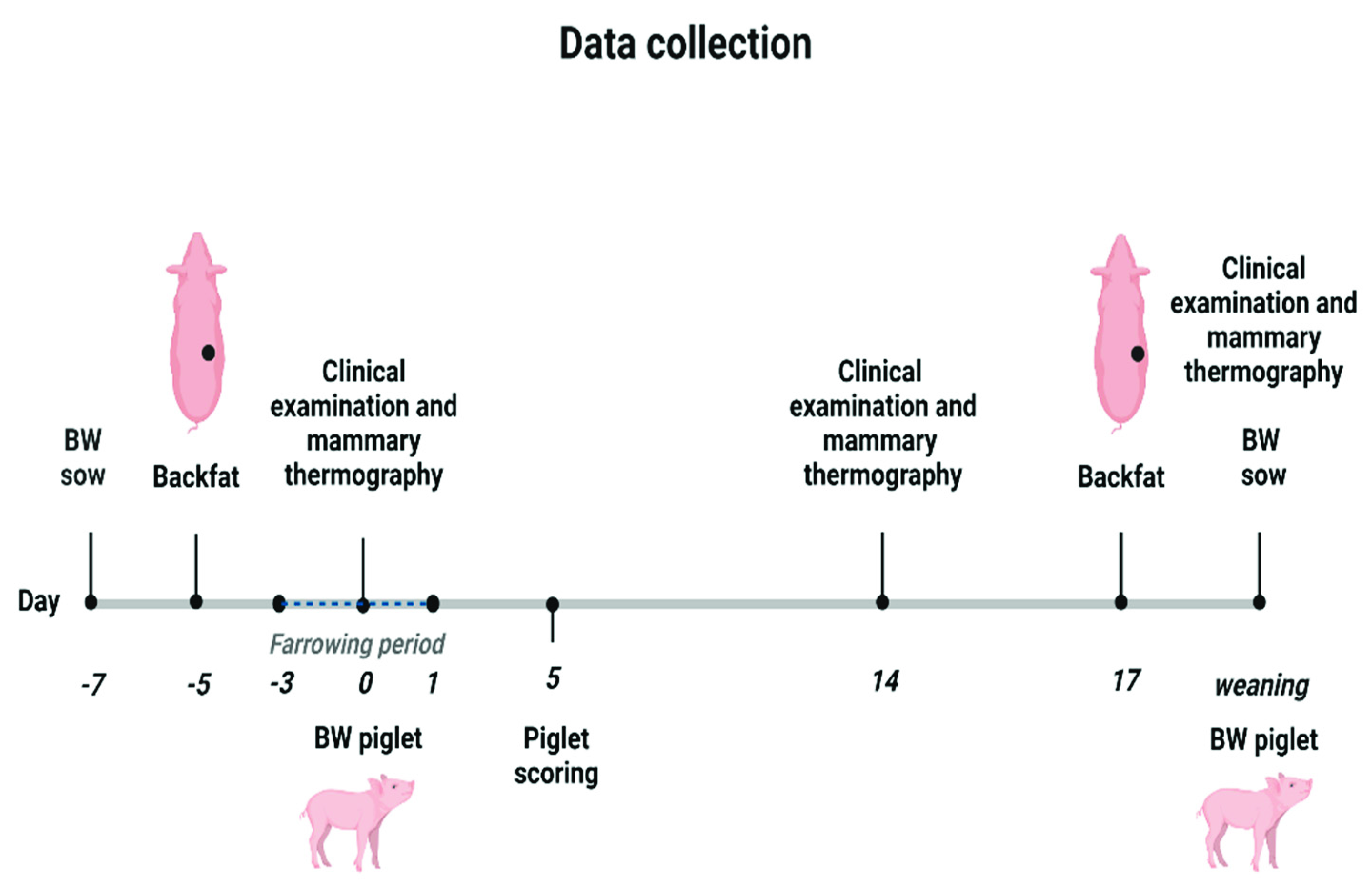 Agriculture 11 01013 g001