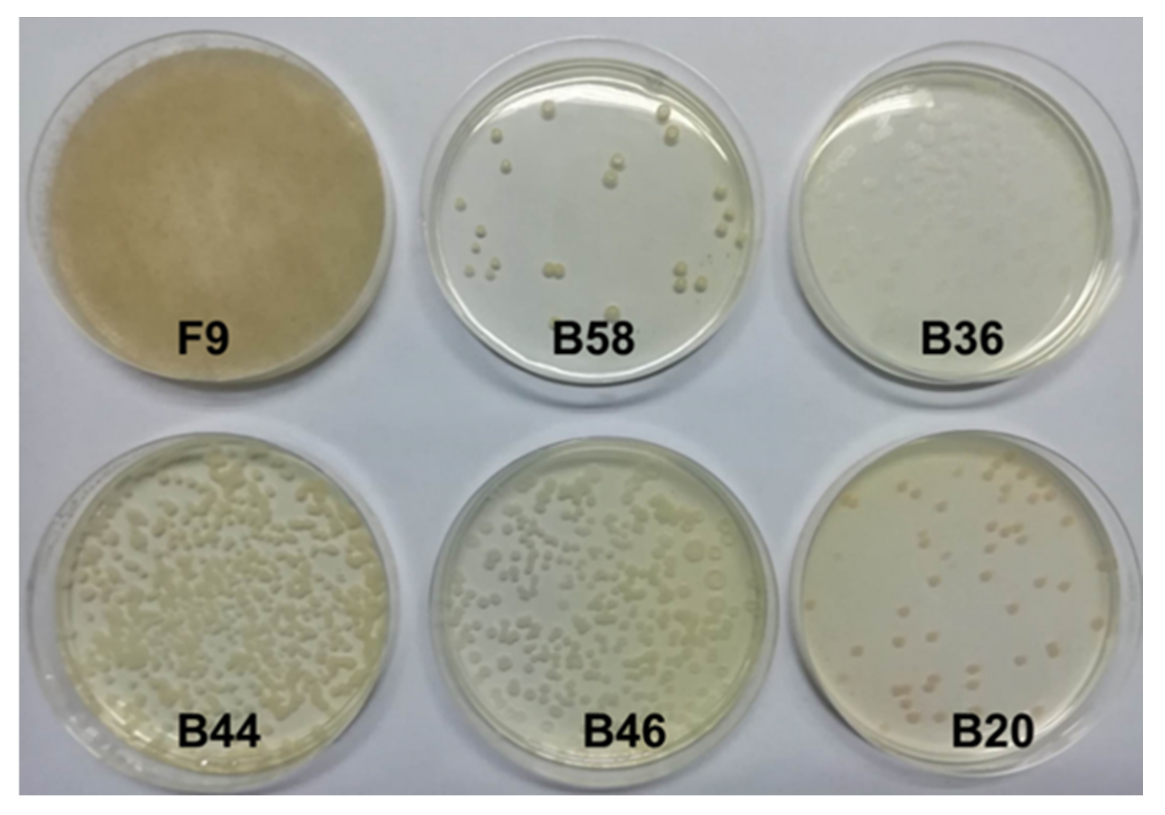 Agriculture 11 01015 g005 550