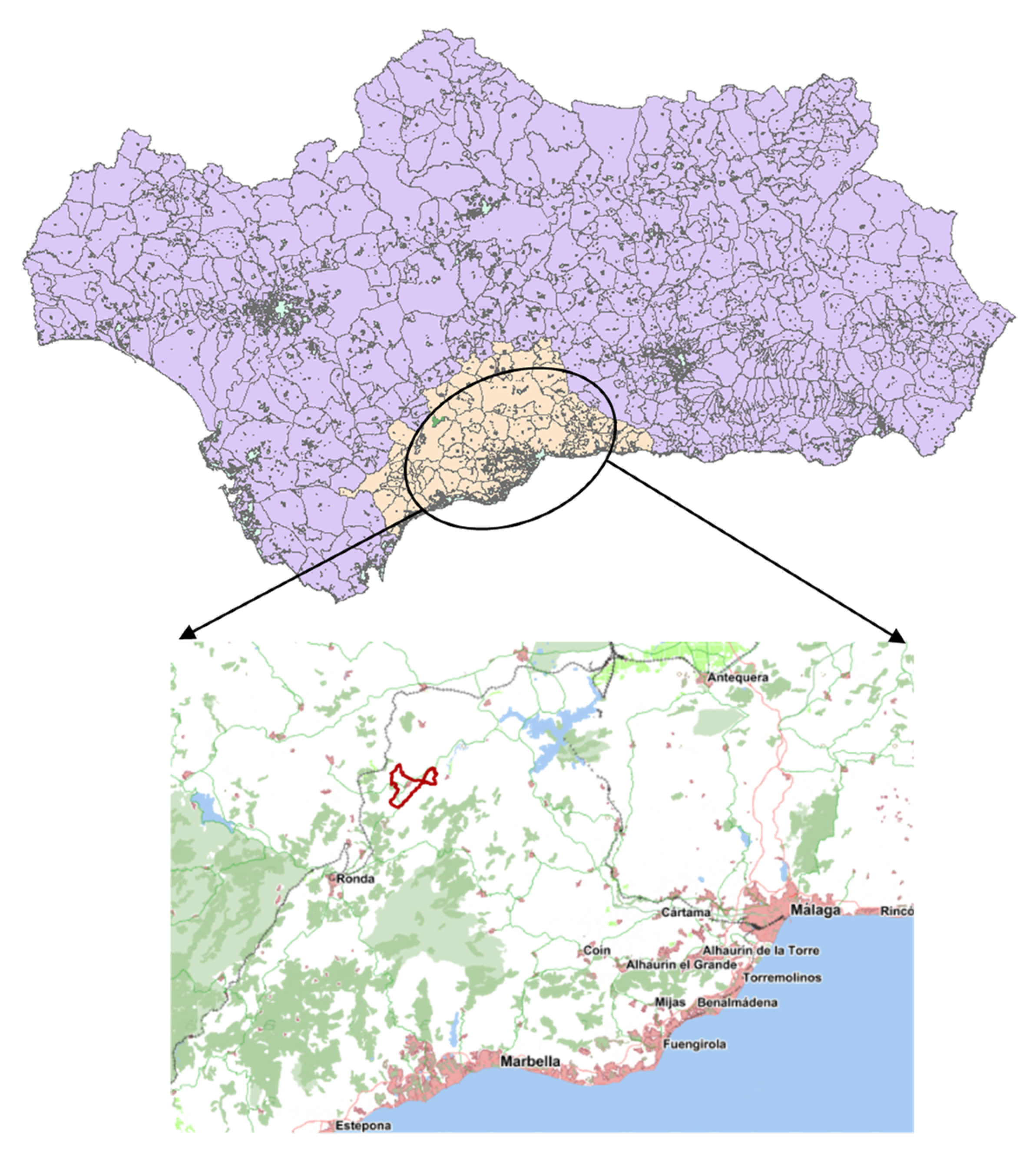 Agriculture 11 01024 g001 Agriculture 11 01024 g001