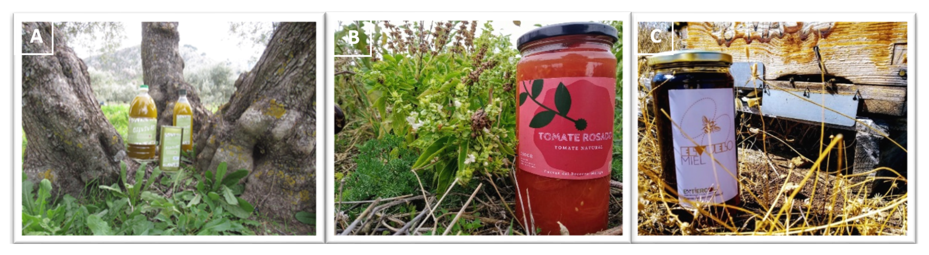 Agriculture 11 01024 g006 Agriculture 11 01024 g006