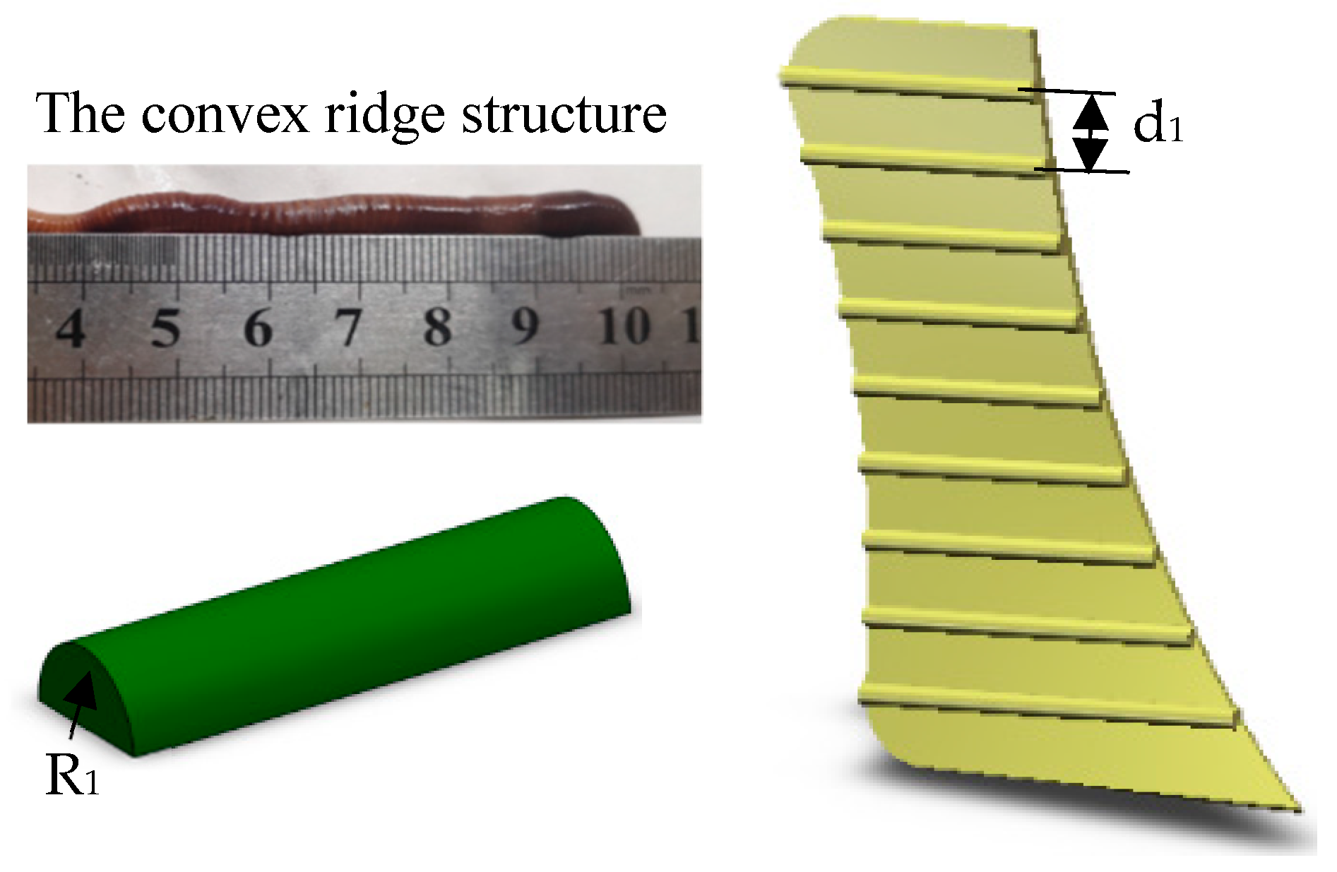 Agriculture 11 01039 g002