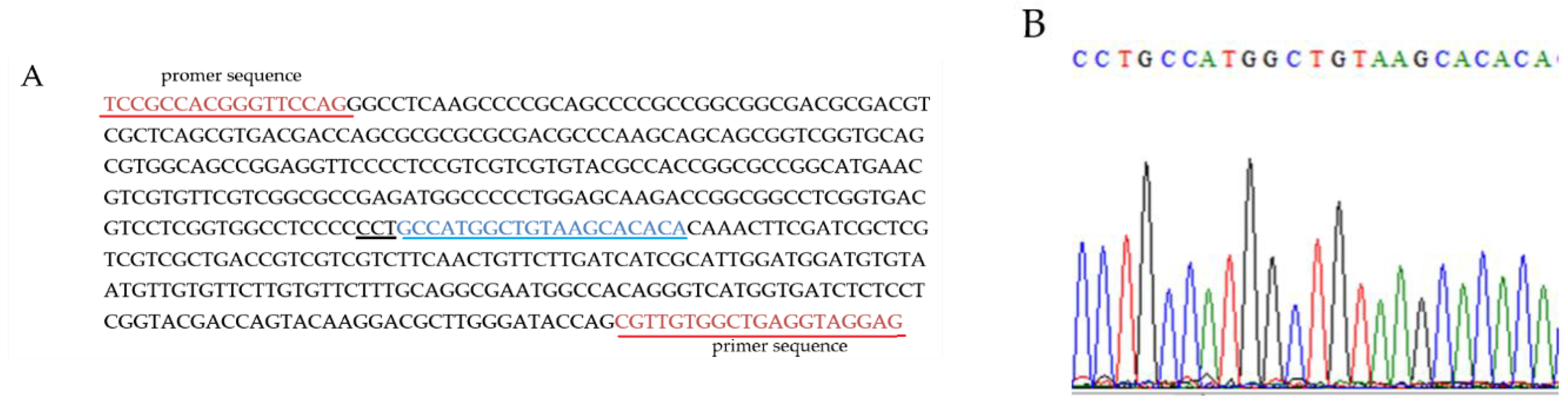 Agriculture 11 01044 g001