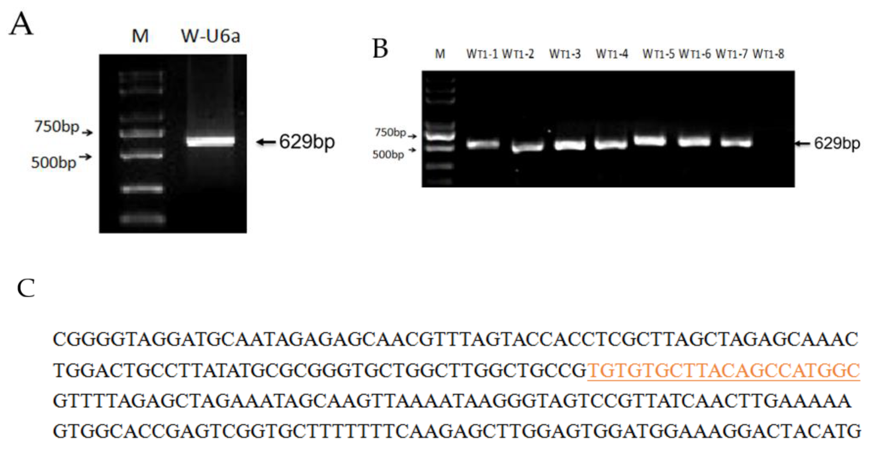 Agriculture 11 01044 g002