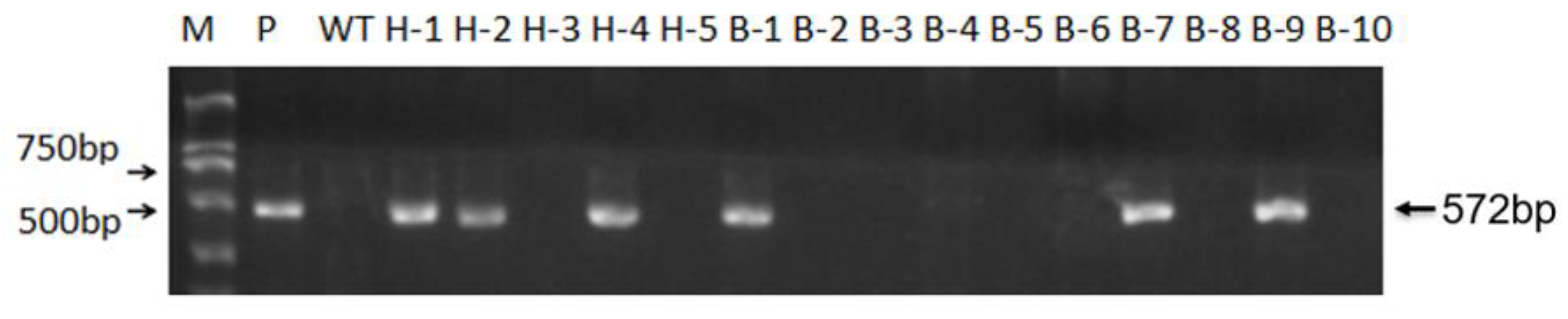 Agriculture 11 01044 g005