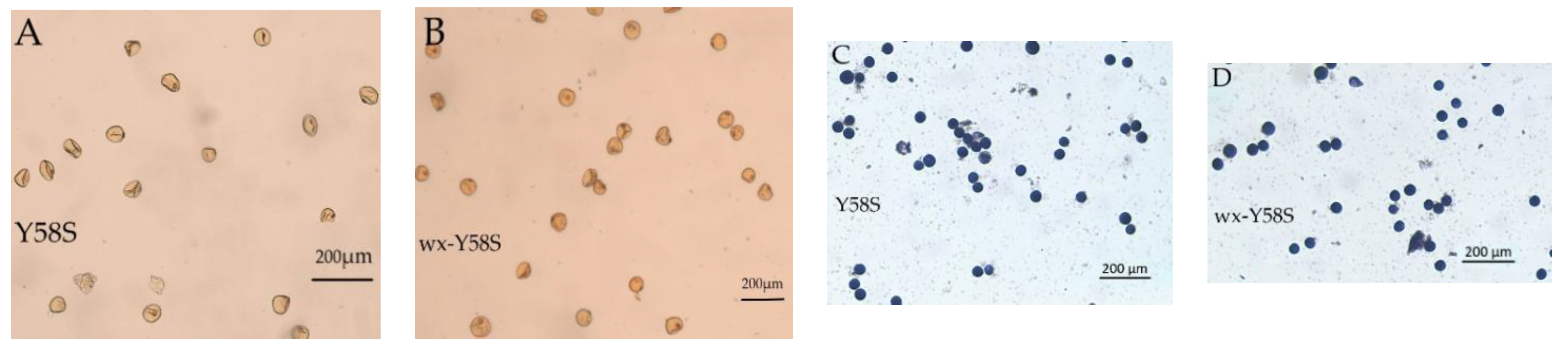 Agriculture 11 01044 g007