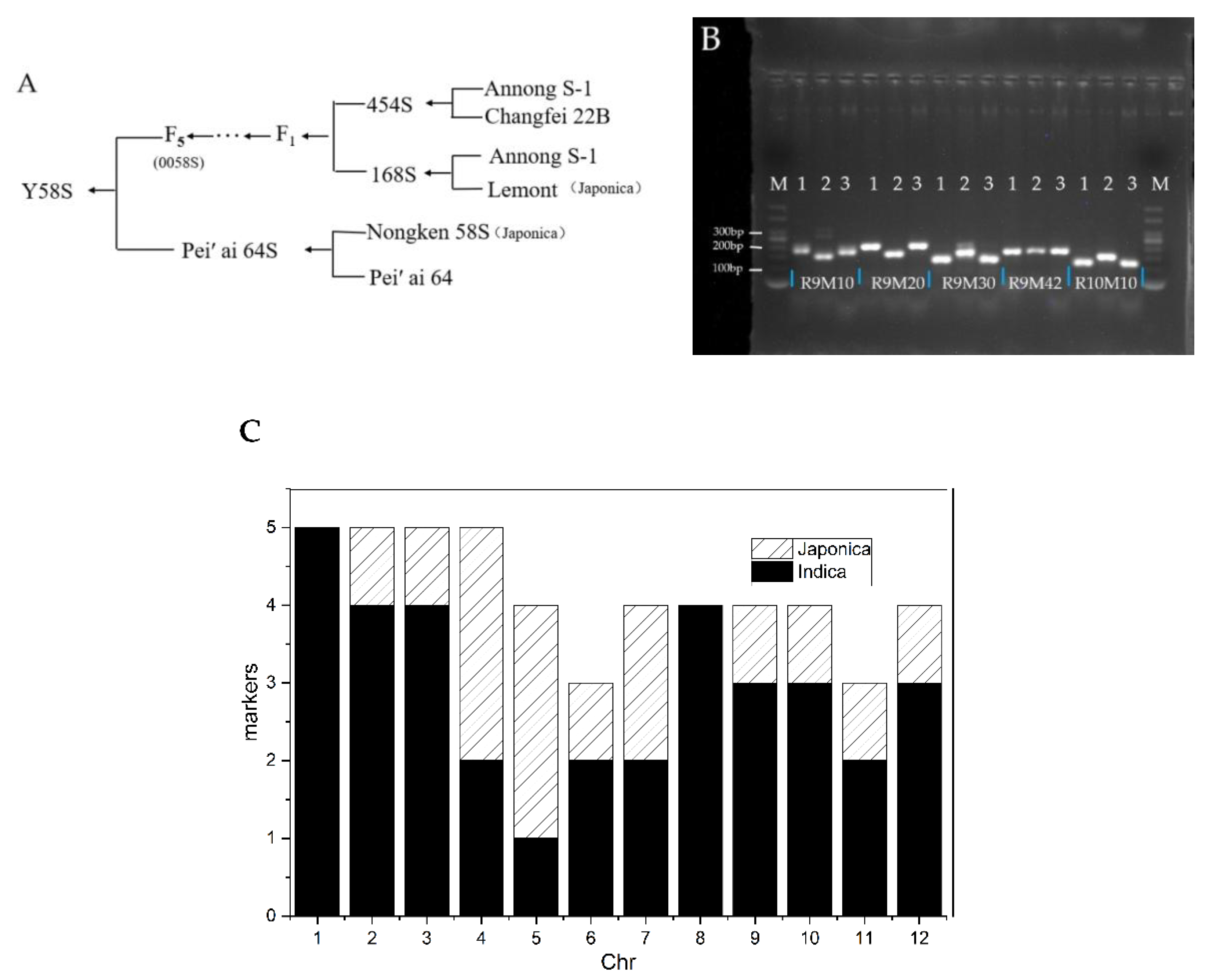 Agriculture 11 01044 g010