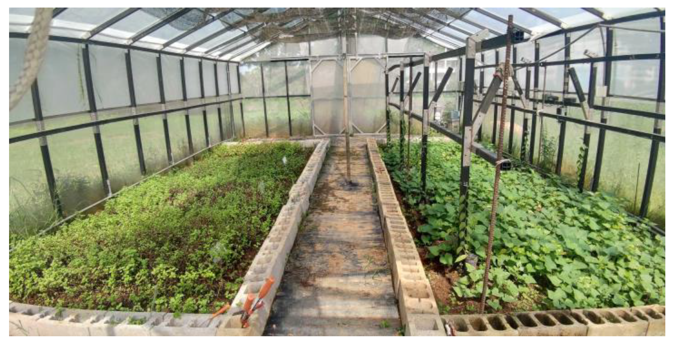 Agriculture 11 01051 g008