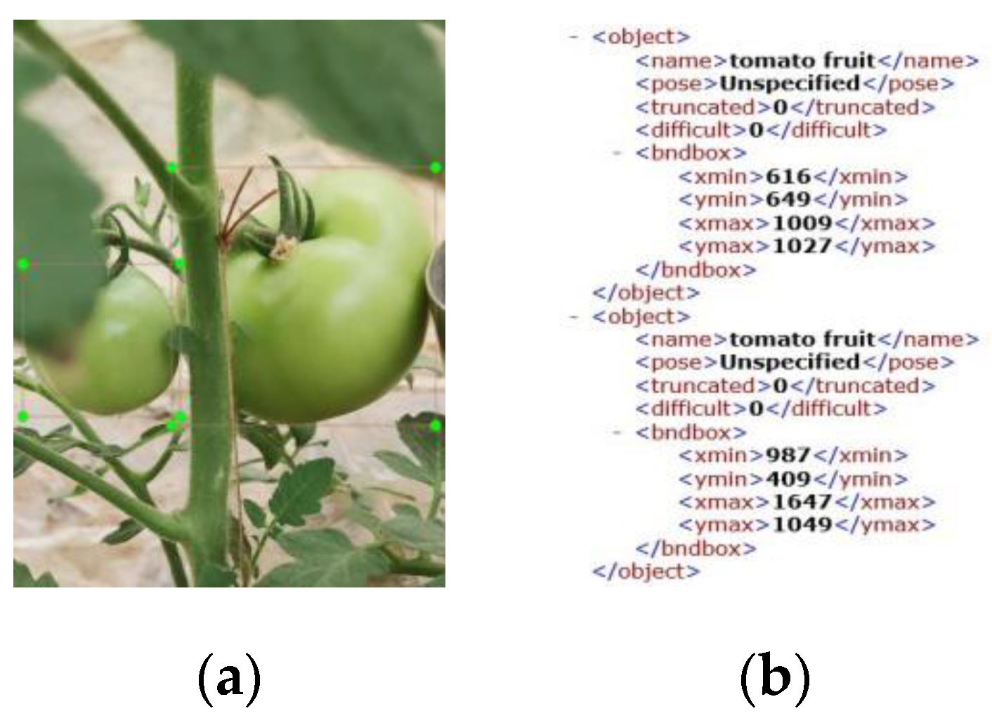 Agriculture 11 01059 g001