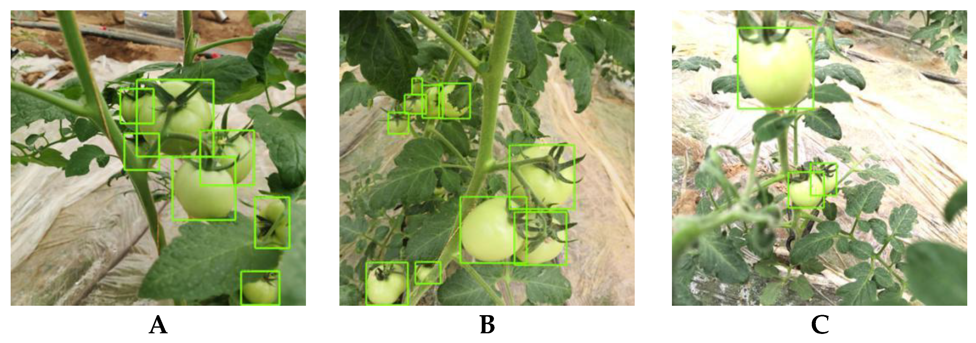 Agriculture 11 01059 g006a