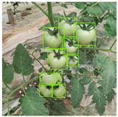 Agriculture 11 01059 i040