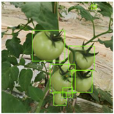 Agriculture 11 01059 i041