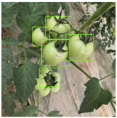 Agriculture 11 01059 i042