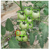 Agriculture 11 01059 i043