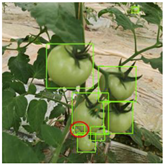 Agriculture 11 01059 i044