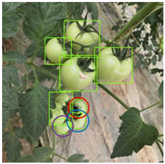 Agriculture 11 01059 i045