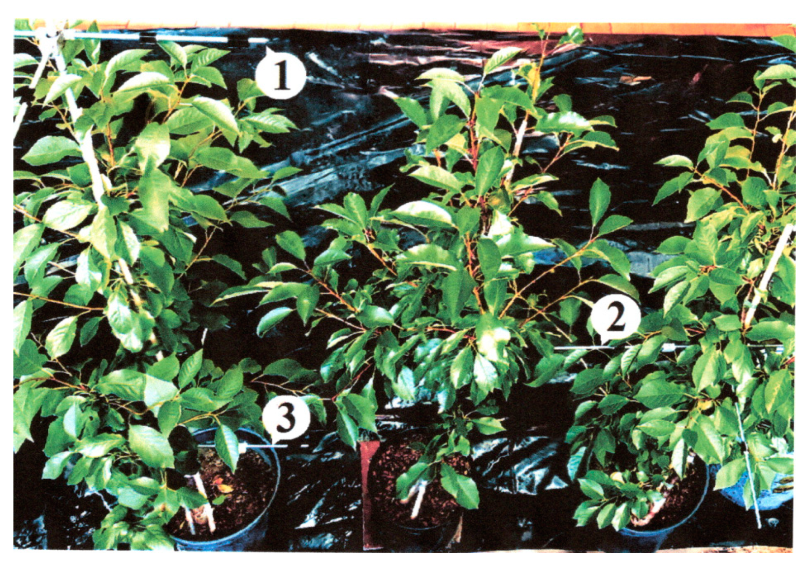 Agriculture 11 01094 g002